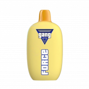 GANG FORCE 10000 Персик земляника мята 2%