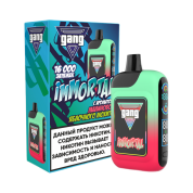 GANG IMMORTAL 16000 Малиново яблочный мохито 2%