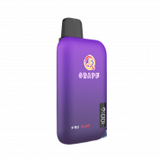 Q5 PRO PLUS 10000 Виноград 2%