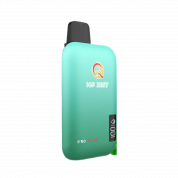 Q5 PRO PLUS 10000 Мята 2%