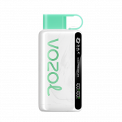 VOZOL STAR 10000 Арбузная жвачка 2%