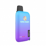 Q5 PRO PLUS 10000 Черника малина виноград 2%