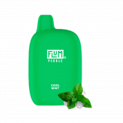 FLUM 6000 Прохладная мята 2%
